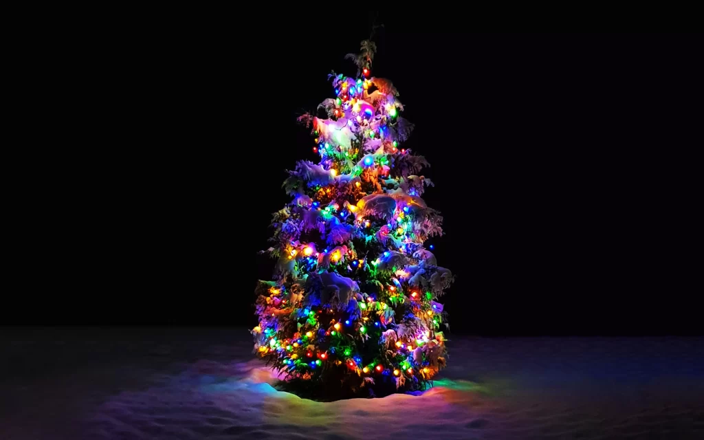 Beautiful Christmas Tree Photos