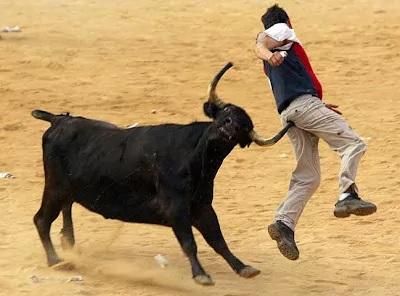 Dangerous Bull Fighting Accidents